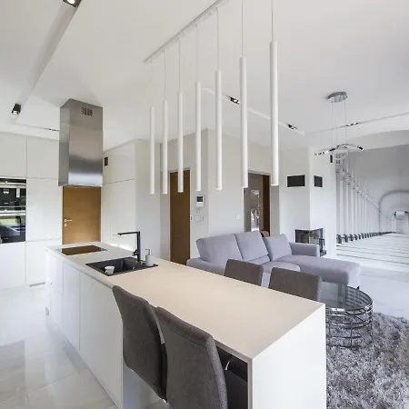 Spacious In With Terrace * Cisownica