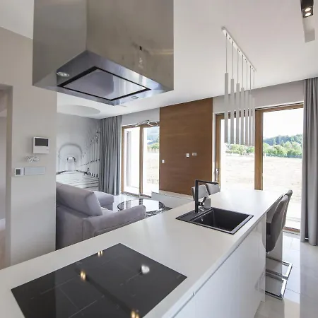 Spacious In With Terrace Cisownica